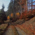 Profile Picture of Krystal Hayes (@krystal.hayeswf) on Instagram