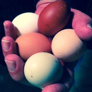 Profile Picture of Frank Brant (@2bail1out) on Twitter