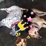 Profile Picture of Wong Chong Chia Chia (@wong.chia) on Instagram