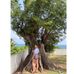 Profile Picture of Elisa Cruz (@cruz.cruz.71653) on Facebook