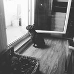 kevin dreßler - Instagram Profile Picture of kevin dreßler (@kevin.dressler) on Instagram