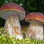 Profile Picture of george.gray23 (@george.gray23) on Instagram