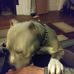 Profile Picture of Glenn Saylor (@glenn.saylor.10) on Facebook