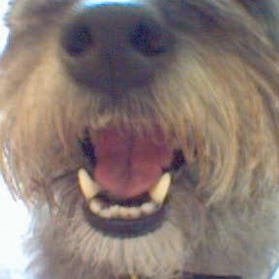 Profile Picture of Julia Germann (@GermannJulia) on Twitter