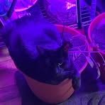 Profile Picture of Jonah Liter (@jonah.liter) on Facebook