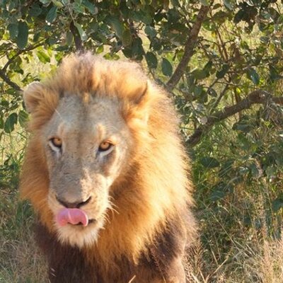 Profile Picture of Richard Cooper (@RichardCoop1) on Twitter