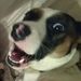 Profile Picture of James Puckett (@jpuckett2020) on Pinterest