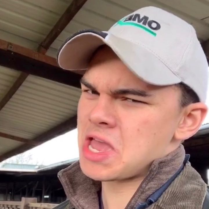 Profile Picture of Matt Buckingham (@@mattbucks) on Tiktok