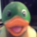 Profile Picture of Tyler Tunnell (@DuckStructon) on Pinterest