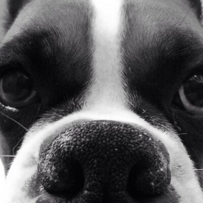 Profile Picture of Mike Hubley (@Hubleymike) on Twitter