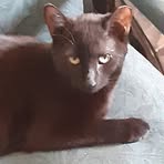 Profile Picture of Lisa Dondero Parinello (@lisa.parinello) on Facebook