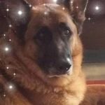 Profile Picture of Heather Cordell (@heathercordell) on Instagram