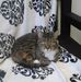 Profile Picture of Mark Keebler (@mark.keebler.750) on Facebook