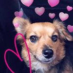 Profile Picture of ___ (@mr.fletcher.holmes) on Instagram