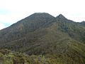 Profile Picture of Mount Hobson (Great Barrier Island)on Wikipedia