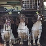 Profile Picture of Eileen Simpson (@eileen.simpson.144) on Instagram