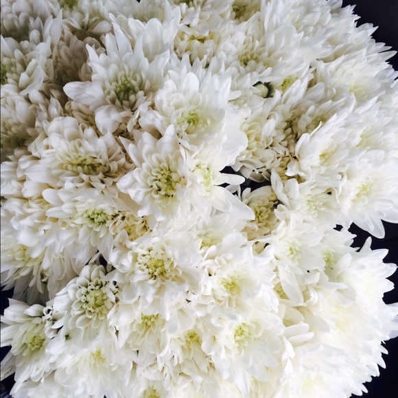 Profile Picture of Melissa Castelo (@melicastelo) on Poshmark