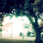 Profile Picture of Aaron Arkens (@s5rfscfhdk4dd) on Instagram