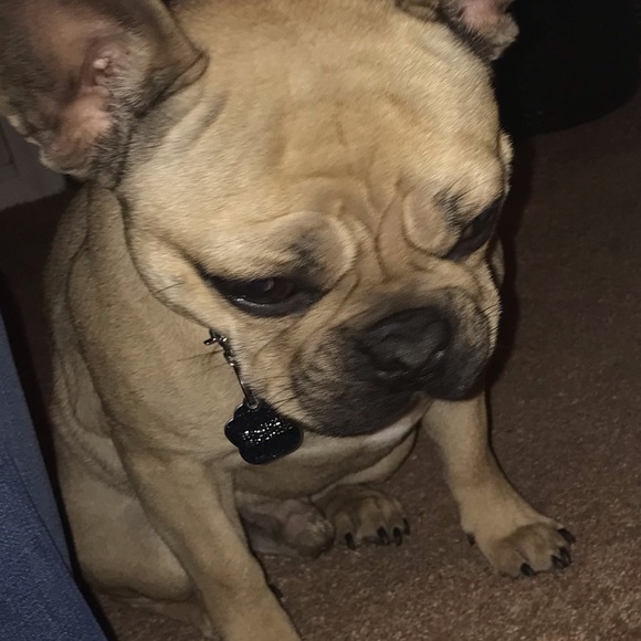 Profile Picture of Nick Becht (@nbecht54) on Poshmark