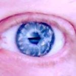 Profile Picture of Steve Hussey (@stevieinstabrighton) on Instagram