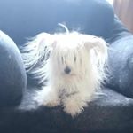 Profile Picture of kevin rhea (@rheakevin0) on Instagram