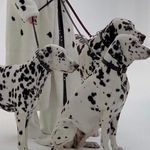 Profile Picture of Amber moore (@isofiullah) on Instagram