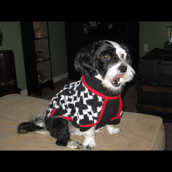 Profile Picture of Cynthia Killmer (@ckck04) on Poshmark