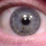 Profile Picture of Shawn Goff (@shawnpgoff) on Instagram