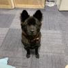 Profile Picture of Beverly (@@bevyb5) on Tiktok