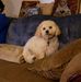 Profile Picture of David Wynkoop (spanky) (@David-Wynkoop) on Facebook