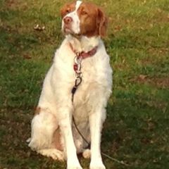 Profile Picture of Carol Pfeuffer Femen (@carolpfeufferfeme) on Tiktok