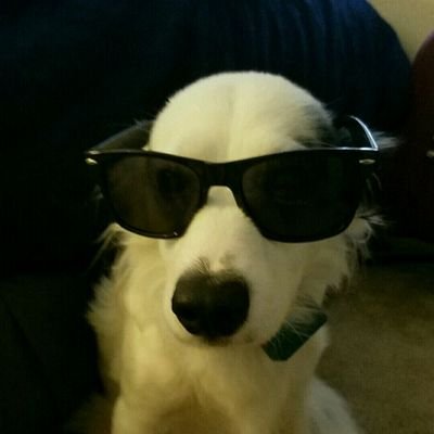 Profile Picture of Manuel Chacon (@Urt_Manny) on Twitter
