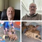 Profile Picture of Clinton Inglis (@Clinton-Inglis) on Facebook