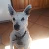 Profile Picture of David Gariepy (@@davidgariepy) on Tiktok
