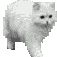 Profile Picture of James Glendinning (@flyingcloudkitty) on Pinterest