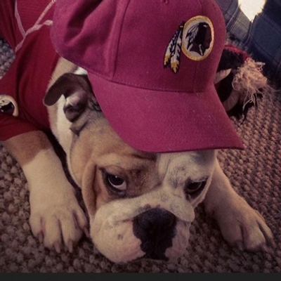 Profile Picture of Neil Rowlands (@neilrow) on Twitter