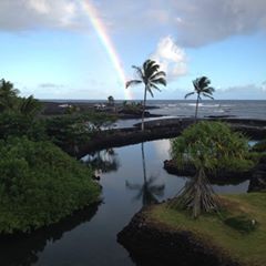 Profile Picture of Nancy Ross (@@nancyross3) on Tiktok