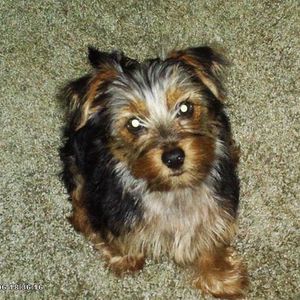 Profile Picture of Jeannie Payton (@jeannielands) on Myspace