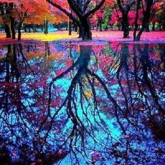 Profile Picture of Crystal Bartlett (@geminigypsy761) on Twitter