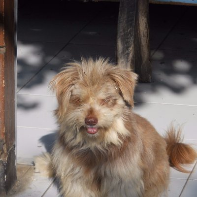 Profile Picture of Ed Jarrett (@Flyingteds) on Twitter