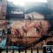Profile Picture of Janelle Harper  (@janelleharper25885) on Pinterest