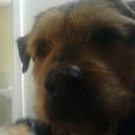 Profile Picture of Jacqueline Hale (@jacqueline.hale.35) on Instagram