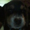 Profile Picture of joshua_parent6 (@@joshua_parent6) on Tiktok