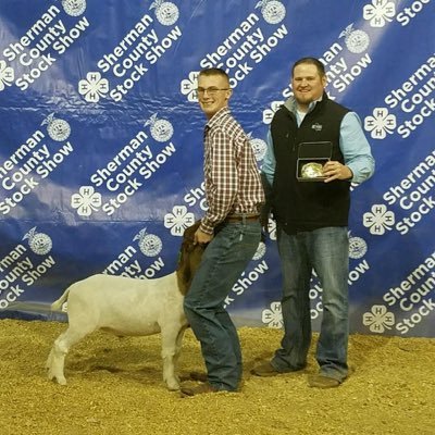 Profile Picture of Levispringer (@Levispringer21) on Twitter