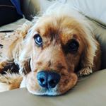 Profile Picture of Michaela Nehring (@michaelanehring) on Instagram