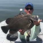 Profile Picture of Chris Davidson (@ca_jun) on Instagram