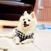 Profile Picture of Deb Nordin (@deb.nordin.5623) on Facebook