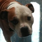 Profile Picture of Darrell Spellman (@darrell.spellman.5) on Facebook