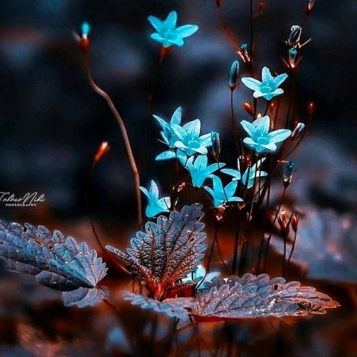Profile Picture of colourbrash (@colourbrash) on Tiktok