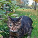 Profile Picture of Pamela Townsend (@pamtownsend855) on Instagram